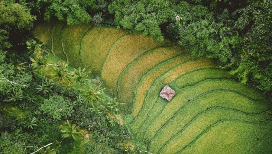 découvrez l'agriculture durable : un mode de culture respectueux de l'environnement, qui préserve la biodiversité et assure une production alimentaire responsable. engagez-vous pour un avenir agricole sain et durable.