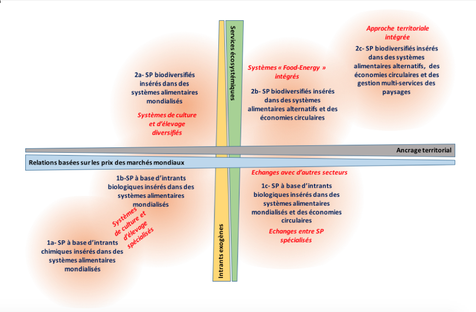 découvrez l'importance de la durabilité des intrants agricoles pour préserver l'environnement et promouvoir une agriculture responsable.