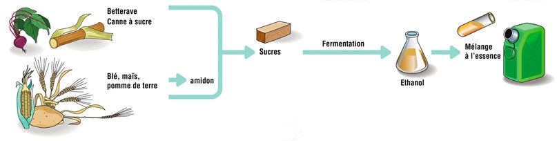 découvrez le bioéthanol écologique, une alternative durable et respectueuse de l'environnement pour vos besoins énergétiques. optez pour une solution renouvelable qui réduit votre empreinte carbone tout en soutenant l'économie locale.