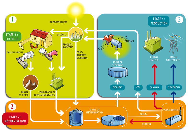 découvrez la définition de la biomasse, une source d'énergie renouvelable provenant de matières organiques. explorez son rôle dans la transition énergétique et ses applications écologiques.