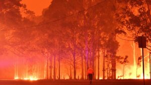 découvrez comment les incendies de forêt affectent la qualité de l'air et les enjeux environnementaux liés à cette problématique. informez-vous sur les conséquences pour la santé et l'importance de la prévention.