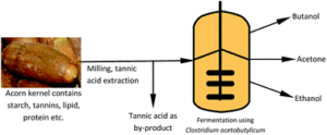 découvrez le biobutanol, un carburant renouvelable et durable, issu de la biomasse. apprenez comment il peut révolutionner les secteurs énergétiques et chimiques, réduisant ainsi notre dépendance aux combustibles fossiles tout en favorisant un avenir plus vert.