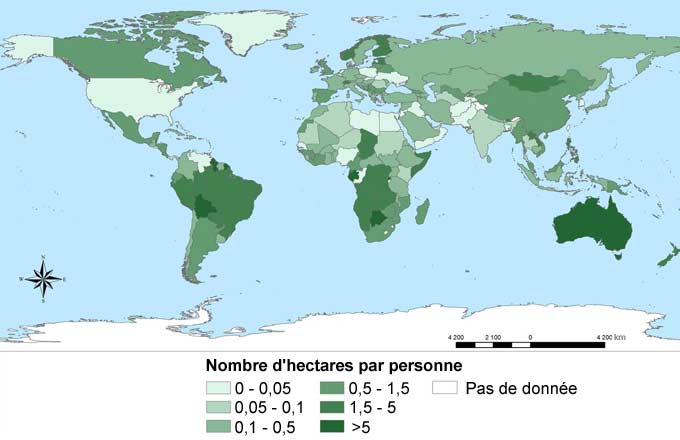 découvrez l'expertise de la fao en biomasse, un leader mondial dans la gestion durable des ressources et le développement des énergies renouvelables. profitez d'analyses approfondies et de solutions innovantes pour un avenir énergétique responsable.