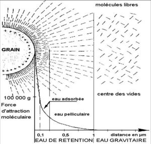 découvrez l'importance de la stabilité de la qualité de l'eau aquifère pour la santé de nos écosystèmes et la sécurité de nos ressources en eau. informez-vous sur les méthodes de préservation et les enjeux environnementaux liés à la gestion des aquifères.