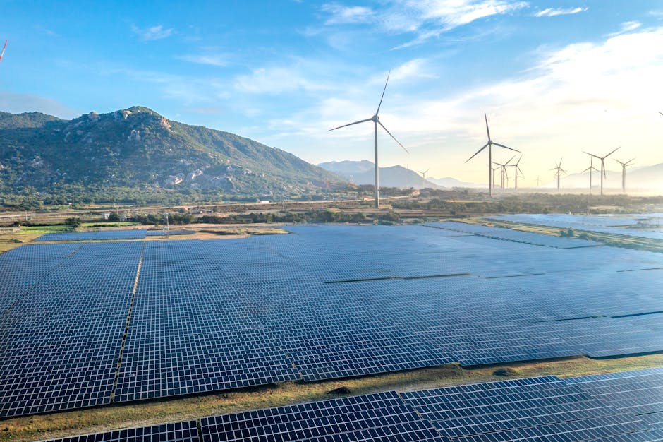 Énergies renouvelables 2024
