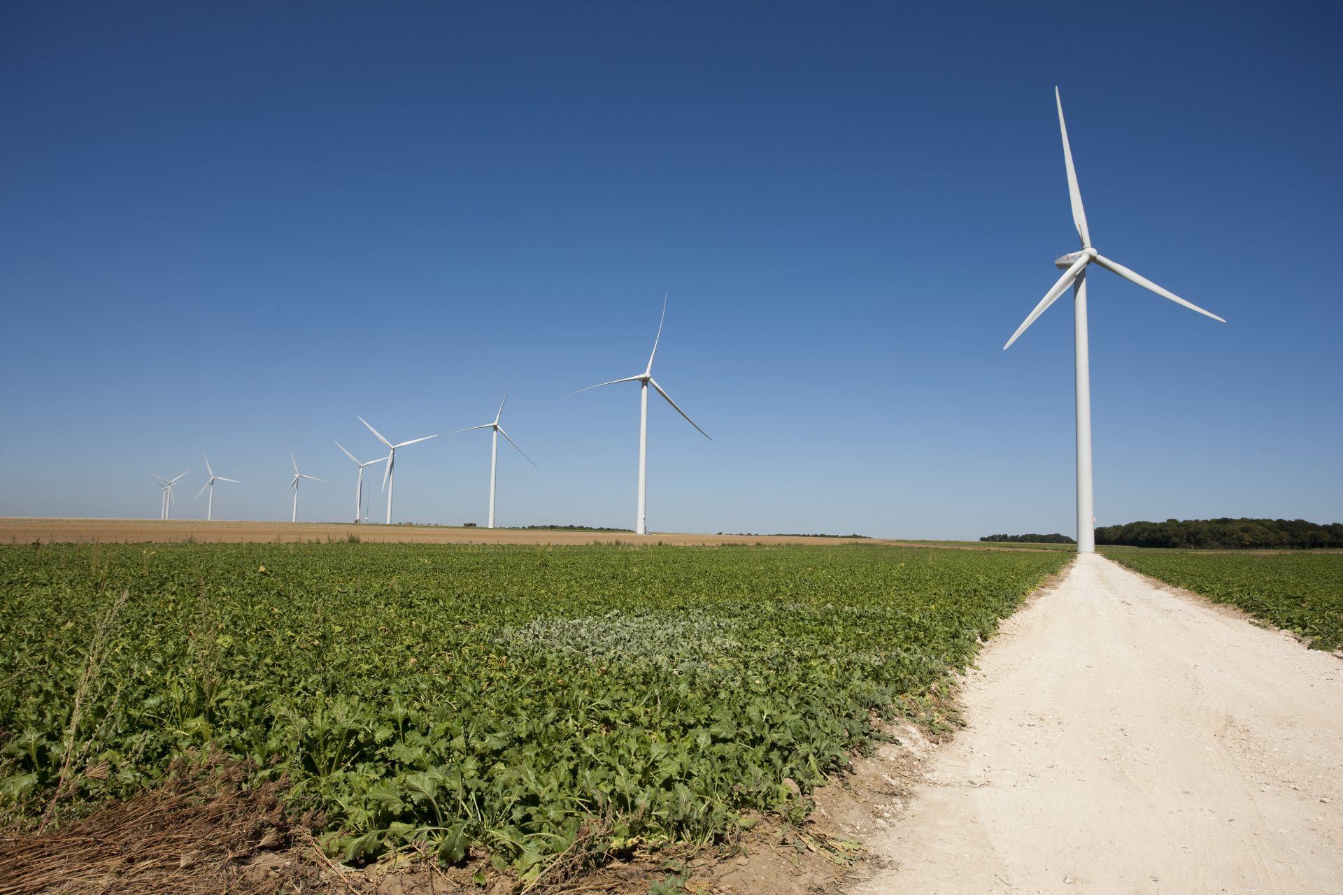 discover how texas, known for its oil industry, is transforming into a leader in renewable energies. explore the initiatives, technologies, and projects that make the lone star state a model of sustainability and innovation in the energy sector.