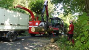 optimisez vos projets d'élagage grâce au géoréférencement. découvrez comment cette technologie vous aide à localiser avec précision les arbres à élaguer, à planifier vos interventions et à améliorer l'efficacité de votre gestion de l'espace vert.