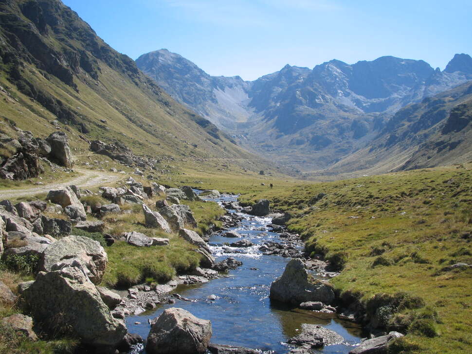 découvrez notre cadre dédié aux crédits biodiversité, une approche innovante pour soutenir la conservation et la restauration des écosystèmes. explorez comment cette initiative contribue à un développement durable tout en favorisant la protection de la biodiversité.