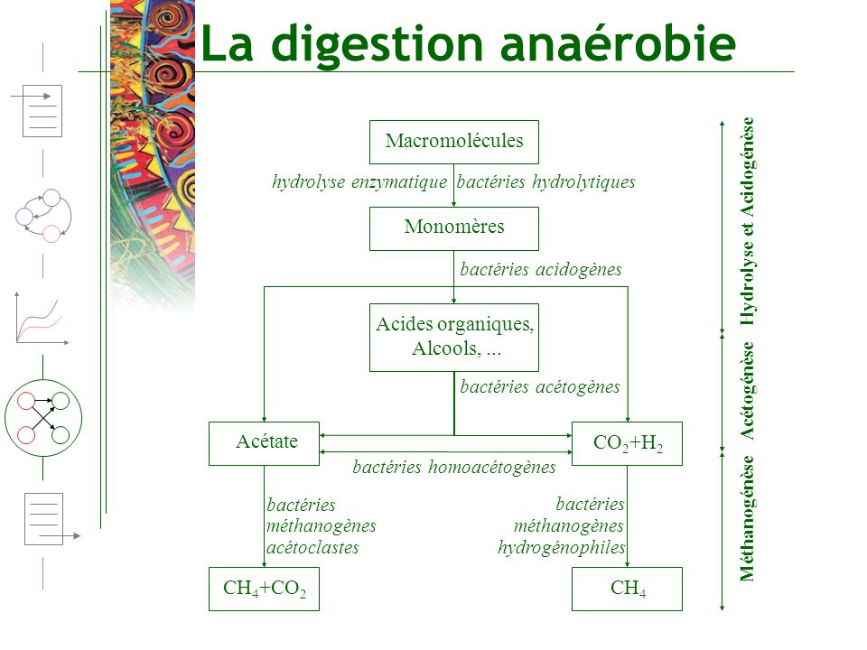 discover the anaerobic digestion process, a natural method of decomposing organic materials without oxygen, used for biogas production and waste treatment. learn how this technique plays a crucial role in waste management and environmental sustainability.