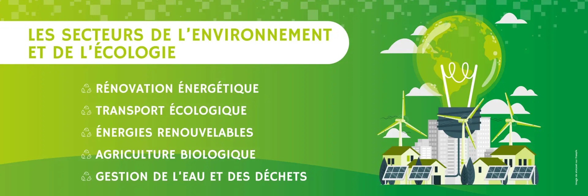 discover the importance of ecology for our planet. explore sustainable solutions, practical tips, and innovative initiatives to preserve our environment and live in harmony with nature.