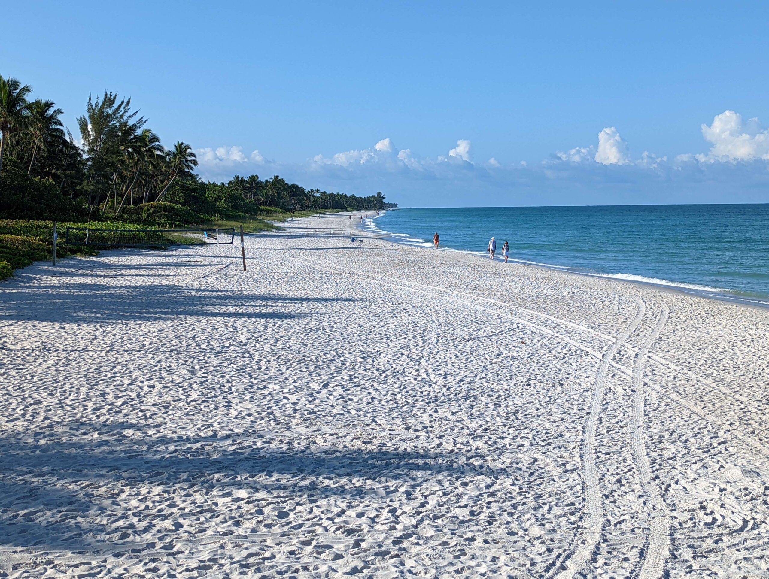 discover the wonders of Florida, a state with sunny landscapes, fine sandy beaches, iconic amusement parks, and a vibrant culture. get ready for an unforgettable adventure between the wild nature of the Everglades and the buzz of Miami.