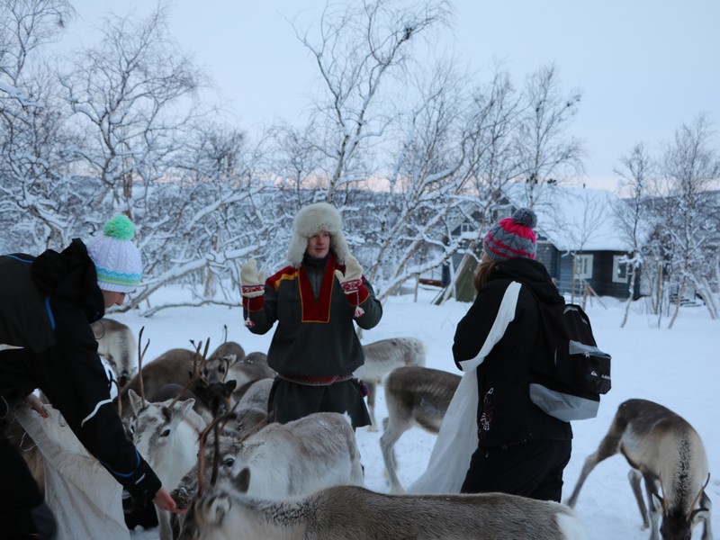 discover the richness of Finnish folklore through the legends and stories of reindeer, emblems of Nordic culture. dive into an enchanting world where traditions, myths, and the wild nature of Finland meet.