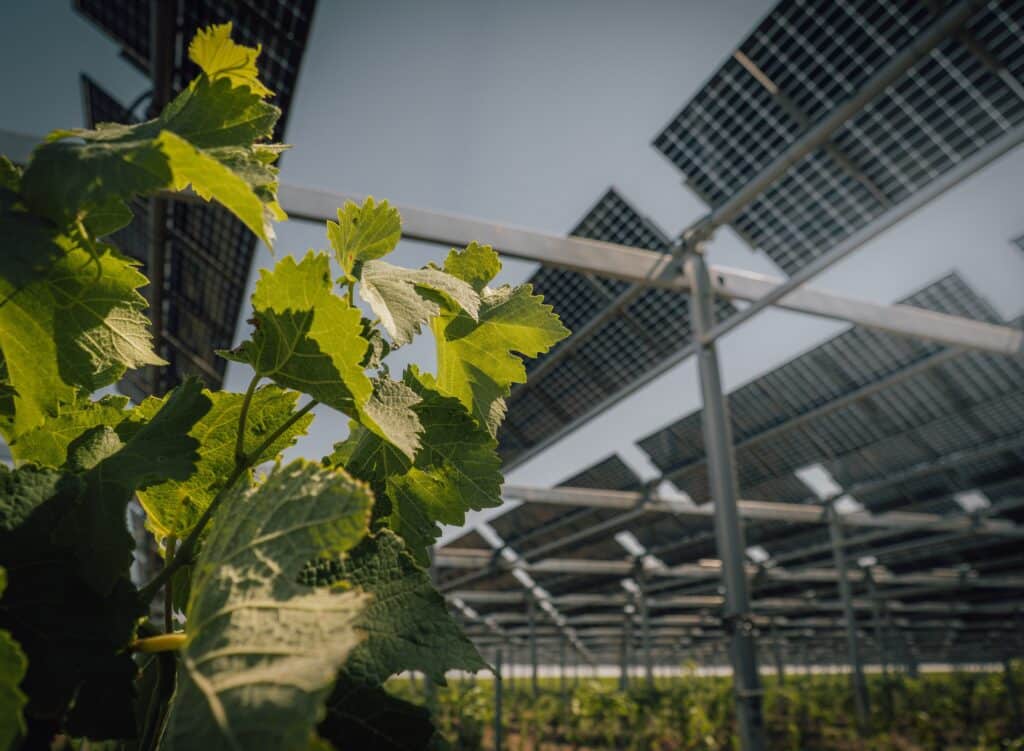Samsolar